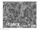 Fig. 01 - NANOTUBES AND RELATED MANUFACTURING PROCESSES