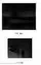 Fig. 15 - Miniaturized microparticles