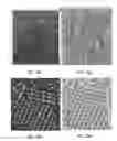 Fig. 16 - Miniaturized microparticles