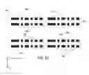 Fig. 40 - Miniaturized microparticles