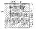 Fig. 01 - SPIN VALVE ELEMENT