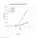 Fig. 02 - OPTIMIZED PROBES AND PRIMERS AND METHODS OF USING SAME FOR THE DETECTION, SCREENING, QUANTITATION, ISOLATION AND SEQUENCING OF CYTOMEGALOVIRUS AND EPSTEIN-BARR VIRUS