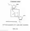 Fig. 07 - Reagents, Methods, and Libraries for Bead-Based Sequencing