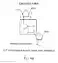 Fig. 08 - Reagents, Methods, and Libraries for Bead-Based Sequencing