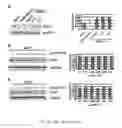 Fig. 06 - MicroRNA Diagnostics for Cancer