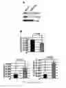 Fig. 07 - MicroRNA Diagnostics for Cancer