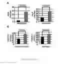 Fig. 09 - MicroRNA Diagnostics for Cancer