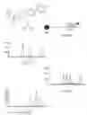 Fig. 08 - Methods Of Producing And Sequencing Modified Polynucleotides