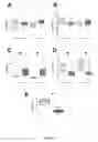 Fig. 02 - Compositions and Methods For Detecting Histamine Related Disorders