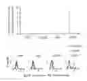 Fig. 01 - QUANTITATIVE/SEMI-QUANTITATIVE MEASUREMENT OF EPOR ON CANCER CELLS