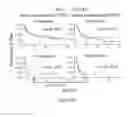 Fig. 06 - QUANTITATIVE/SEMI-QUANTITATIVE MEASUREMENT OF EPOR ON CANCER CELLS