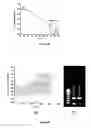 Fig. 09 - Hand held micro PCR device including microcontroller for exchanging information with a communications interface