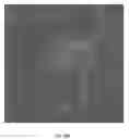 Fig. 07 - SUBSTRATE AND METHOD FOR CULTURING BREAST CELLS