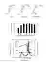 Fig. 02 - Hydroxylase gene and use thereof