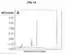 Fig. 02 - TRANSGENIC MOSS PRODUCING TERPENOIDS