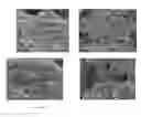 Fig. 13 - Metal entrapped compounds