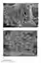 Fig. 14 - Metal entrapped compounds