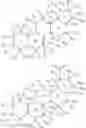 Fig. 43 - Haptens, hapten conjugates, compositions thereof and method for their preparation and use