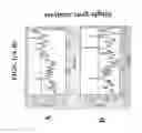 Fig. 02 - Random-Primed Transcriptase -In Vitro Transcription Method for RNA Amplification