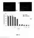 Fig. 07 - Systems and methods for the capture and separation of microparticles