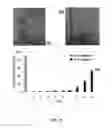 Fig. 09 - Systems and methods for the capture and separation of microparticles