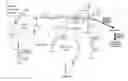 Fig. 01 - Genetically Modified Photoautotrophic Ethanol Producing Host Cells, Method For Producing The Host Cells, Constructs For The Transformation Of The Host Cells, Method For Testing A Photoautotrophic Strain For A Desired Growth Property And Method Of Producing Ethanol Using The Host Cells