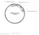 Fig. 102 - Genetically Modified Photoautotrophic Ethanol Producing Host Cells, Method For Producing The Host Cells, Constructs For The Transformation Of The Host Cells, Method For Testing A Photoautotrophic Strain For A Desired Growth Property And Method Of Producing Ethanol Using The Host Cells