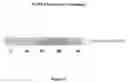 Fig. 08 - PHARMACEUTICAL COMPOSITION AND A METHOD FOR TREATMENT OF PROSTATE CANCER