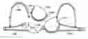 Fig. 01 - Convertible bra