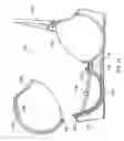 Fig. 06 - Convertible bra