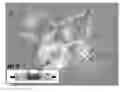 Fig. 01 - CELL POPULATIONS FOR POLYPEPTIDE ANALYSIS AND USES OF SAME