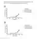 Fig. 02 - Oligomer-tricyclic conjugates