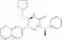 Fig. 114 - Method of treating polycystic kidney diseases with ceramide derivatives