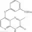 Fig. 197 - Pyrido[2,3-b]pyrazin-8-substituted compounds and their use