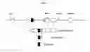 Fig. 04 - Endothelin single nucleotide polymorphisms and methods of predicting β-adrenergic receptor targeting agent efficacy