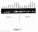 Fig. 02 - Use of Tocotrienols for Elevating IKBKAP Gene Expression and Treating Familial Dysautonomia
