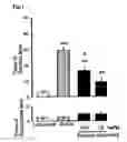 Fig. 02 - Therapeutic agent for substance dependence
