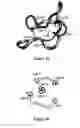 Fig. 03 - Cystine knot molecules