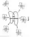 Fig. 06 - Cystine knot molecules