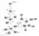 Fig. 01 - COMPLEX OF CELL TRANSLOCATIONAL PEPTIDE AND MAGNETIC NANOPARTICLES AND USE THEREOF