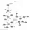 Fig. 02 - COMPLEX OF CELL TRANSLOCATIONAL PEPTIDE AND MAGNETIC NANOPARTICLES AND USE THEREOF