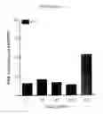 Fig. 08 - Polypeptides and use thereof
