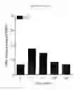 Fig. 09 - Polypeptides and use thereof