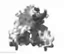 Fig. 01 - Crystal Structure of a MarR Family Polypeptide