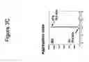Fig. 06 - Protein scaffolds