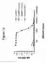 Fig. 41 - Protein scaffolds