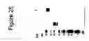 Fig. 58 - Protein scaffolds