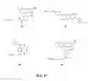 Fig. 16 - Compounds and methods for labeling oligonucleotides