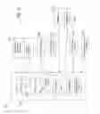 Fig. 12 - Rapid shallow breathing detection for use in congestive heart failure status determination