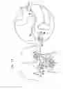 Fig. 13 - Duodenal eating sensor